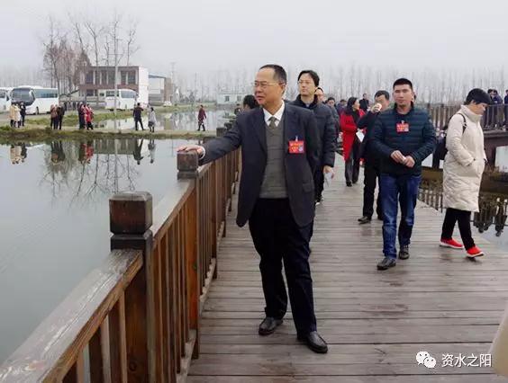 益陽(yáng)市菲美特新材料有限公司,菲美特新材料,益陽(yáng)多孔泡沫金屬材料,泡沫鎳生產(chǎn),益陽(yáng)泡沫銅